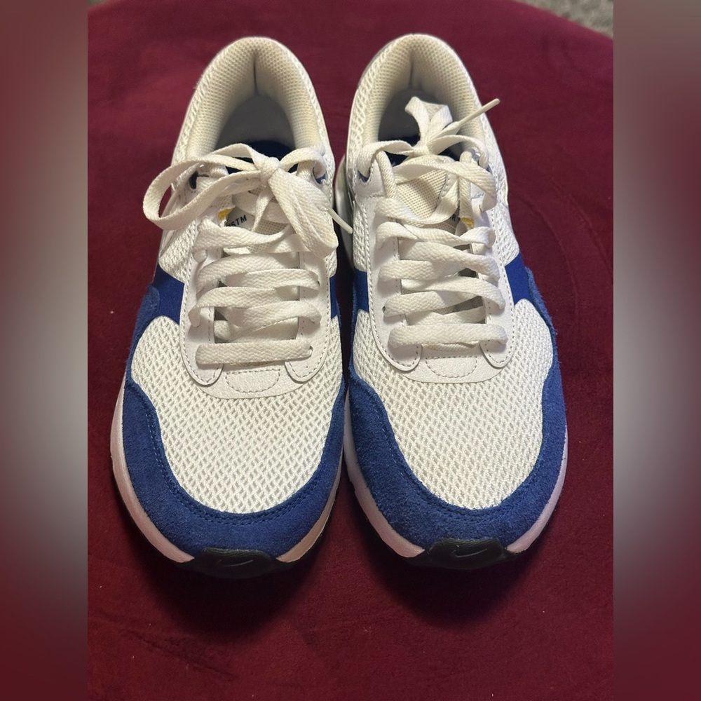 Nike White and Blue Sneakers